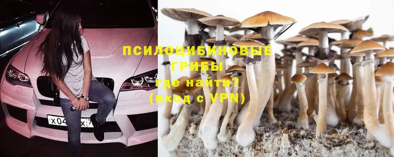 Псилоцибиновые грибы Magic Shrooms  shop Telegram  Сарапул  закладки 